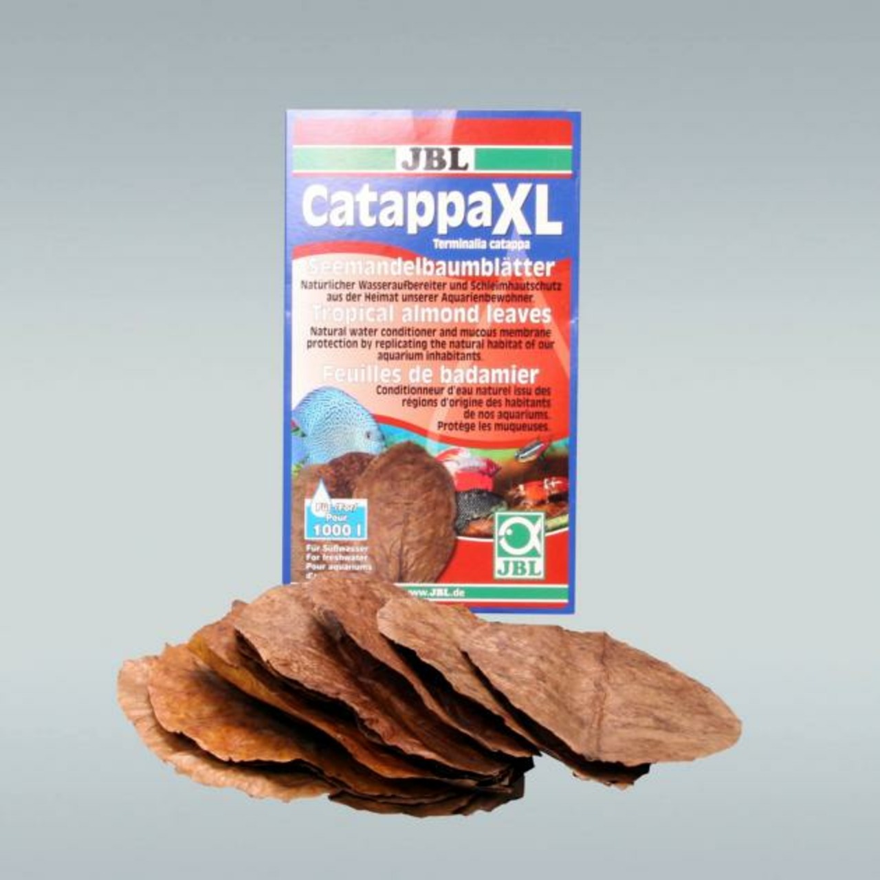 JBL Catappa XL feuilles d’amandier tropical