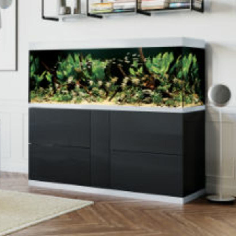 Aquarium d’eau douce