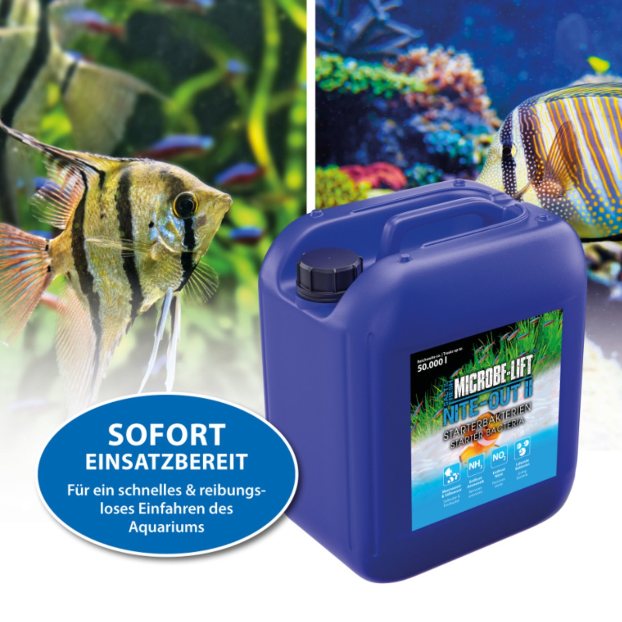Arka Nite-Out II - bactéries starter 5 L