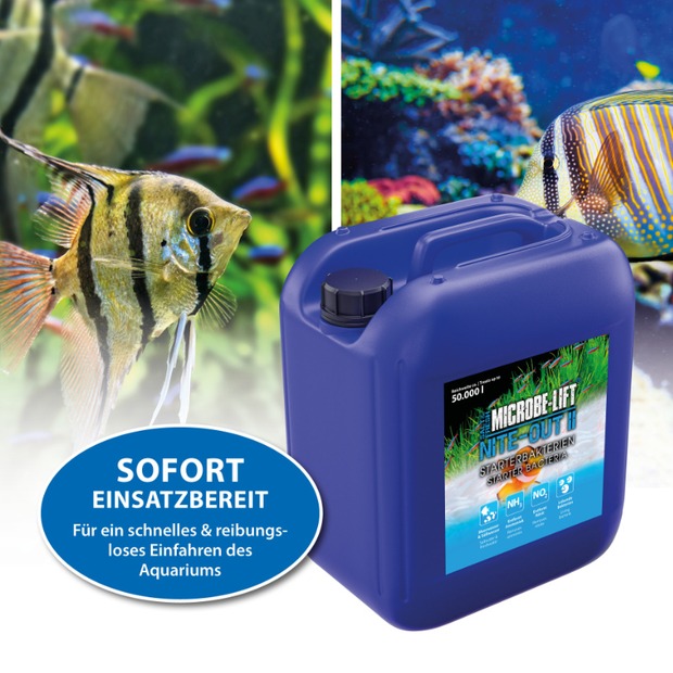 Arka Nite-Out II - bactéries starter 5 L