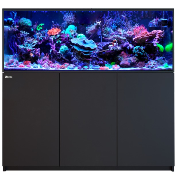 Red Sea Reefer 525 G3 noir