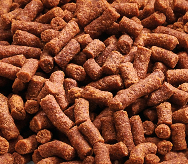 Image de Faire soi-même de la nourriture pour poissons d’aq