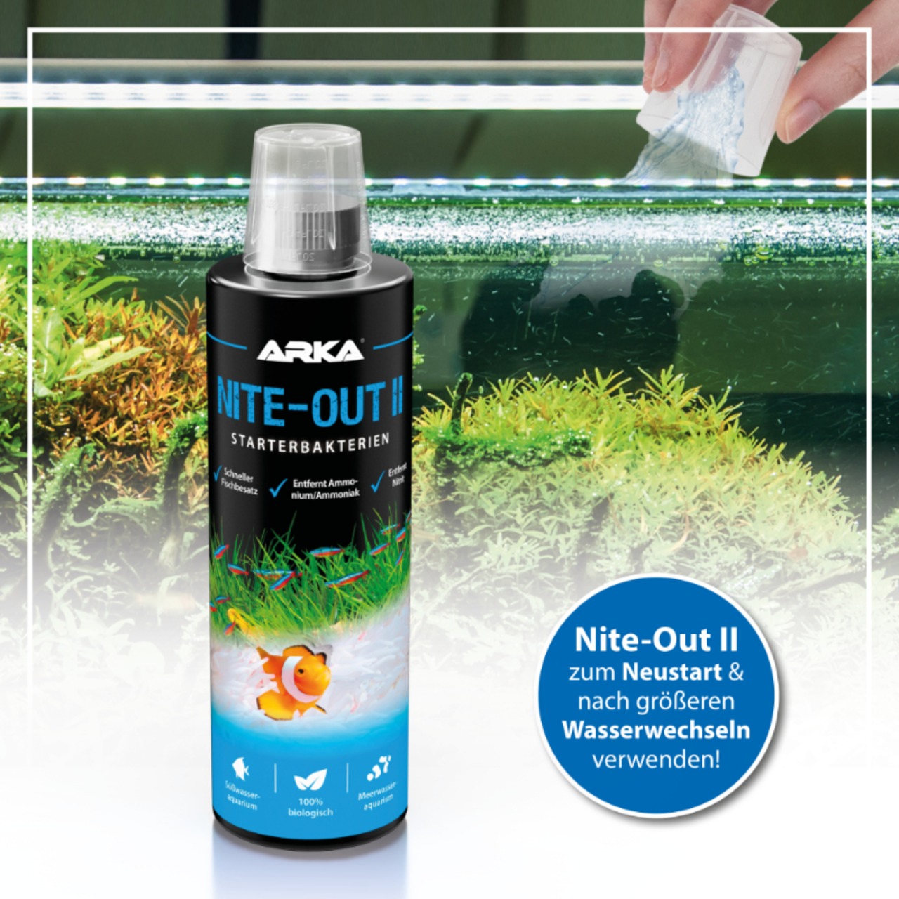 Arka Nite Out Pond