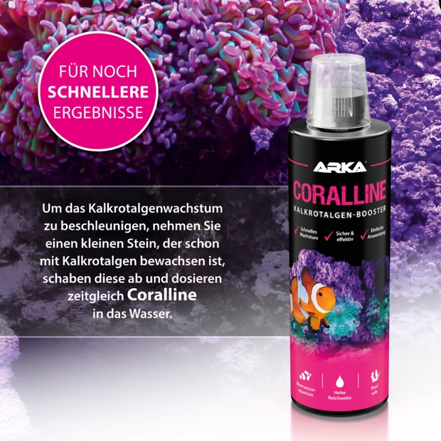 Arka Coralline algues rouges calcaires + 473 ml