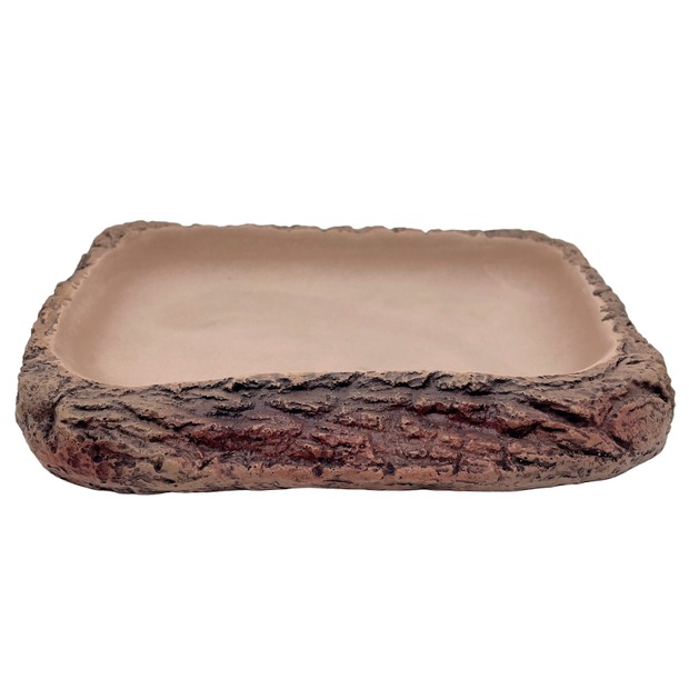 Hobby Torto Dish