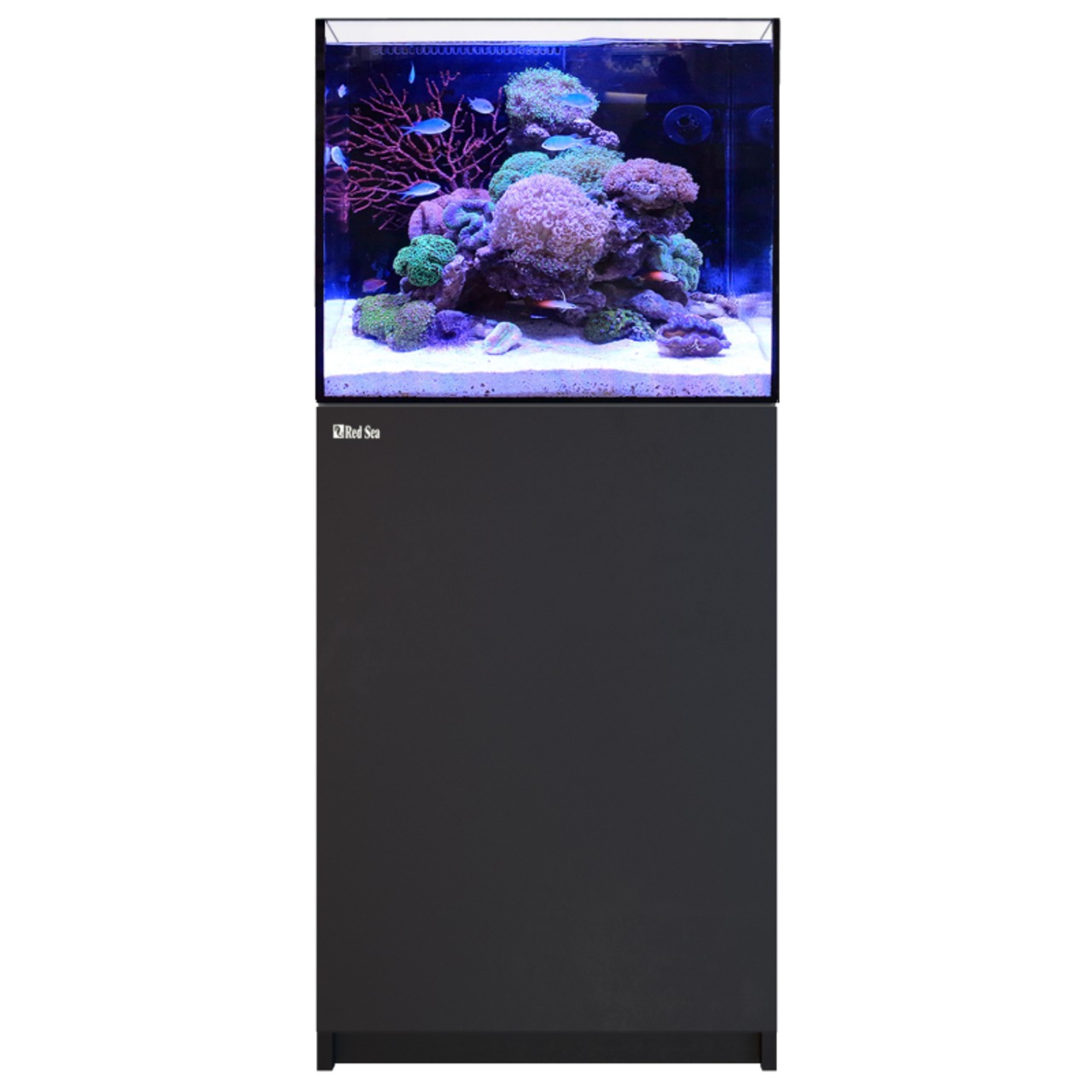 Red Sea Reefer 170 G3 noir