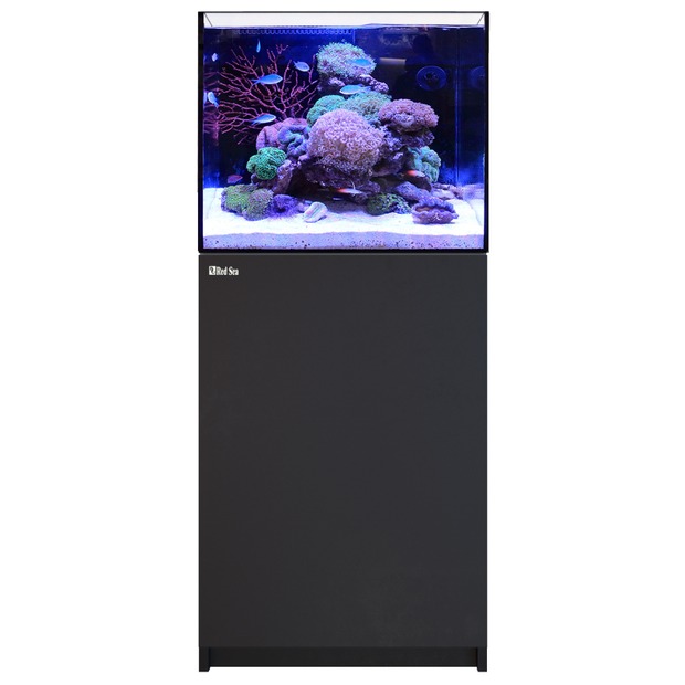 Red Sea Reefer 170 G3 noir