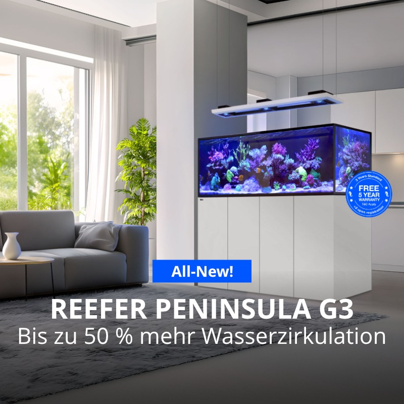 Red Sea Reefer G3 Peninsula avec 5 ans de garantie