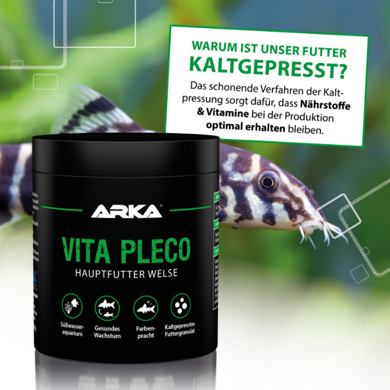 ARKA Vita Pleco nourriture poissons-chats 250 ml