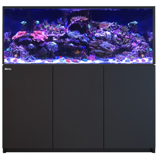 Red Sea Reefer 625 G3 noir