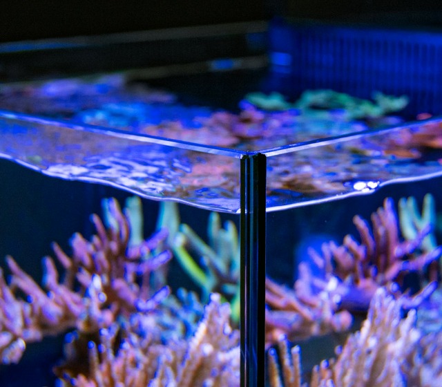 verre ultra-clair