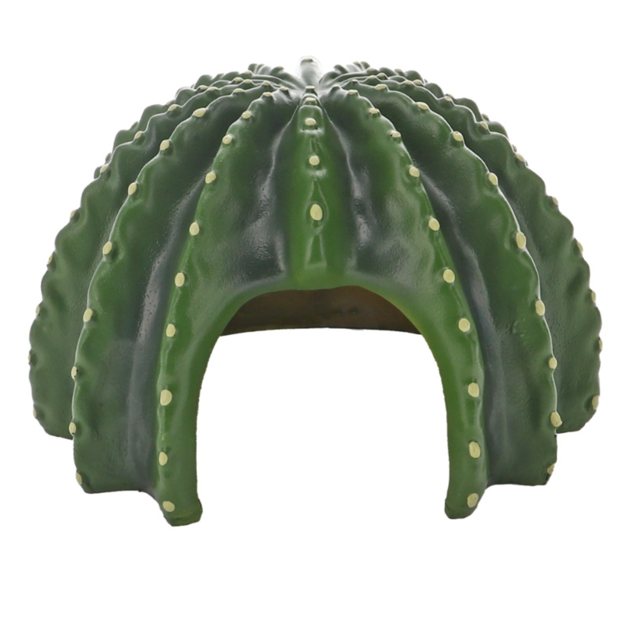 Hobby Cactus Home