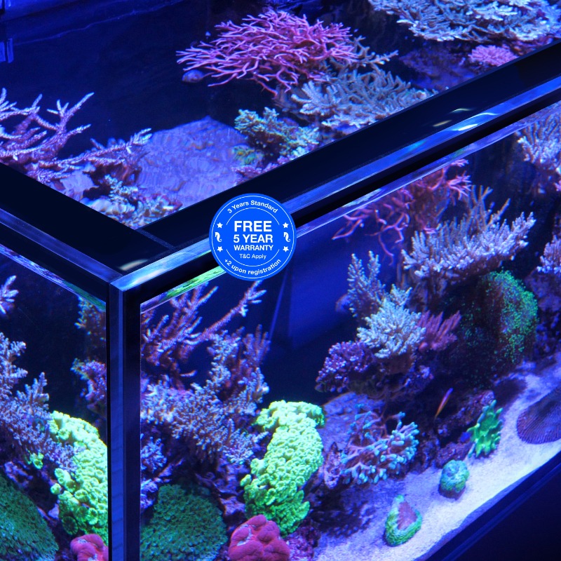 Red Sea Reefer Peninsula entretoise et verre ultra-clair