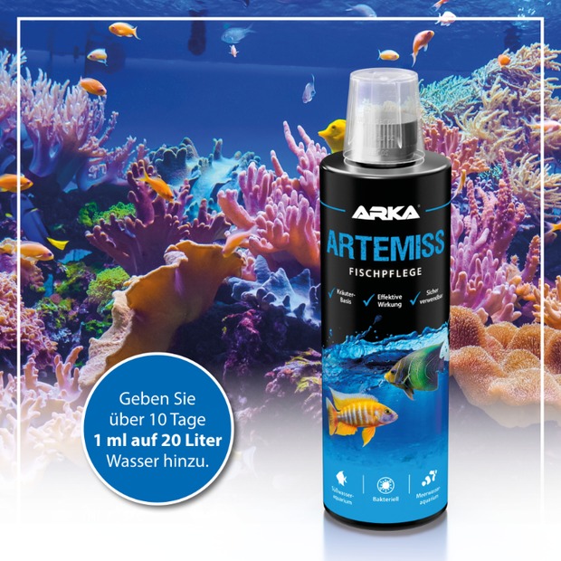 Arka Artemiss stimulant immunitaire B 473 ml