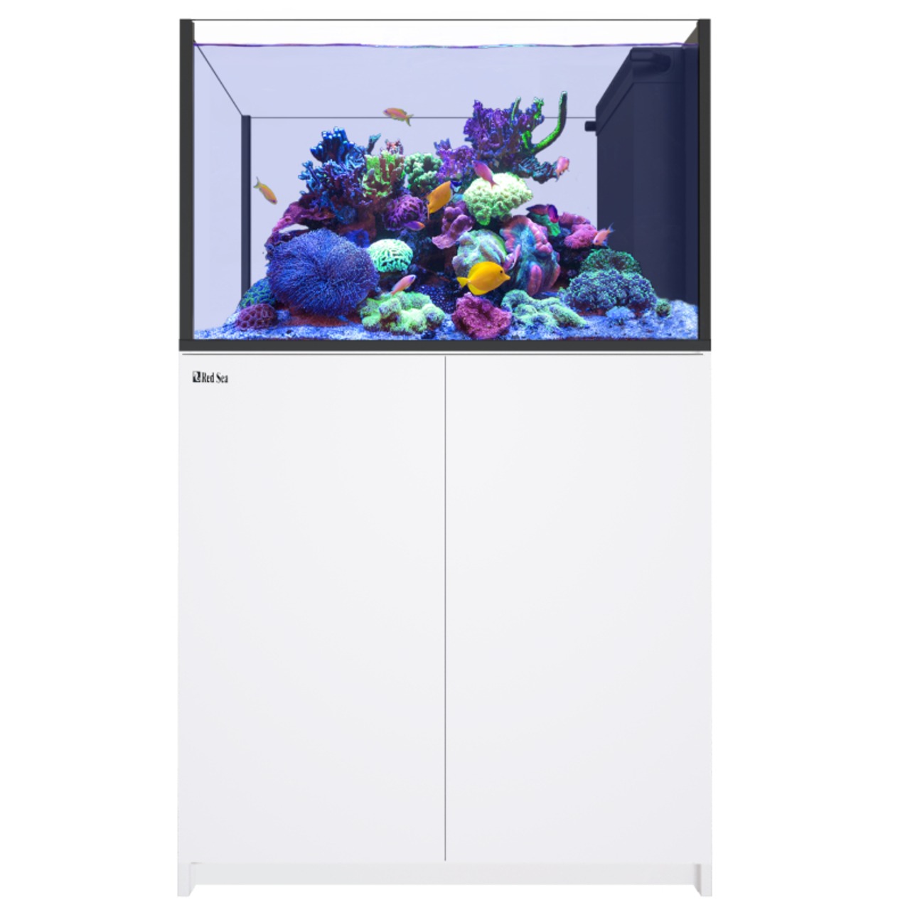 Red Sea REEFER Peninsula 350 G3