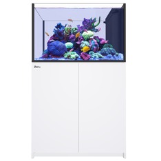 Red Sea REEFER Peninsula 350 G3