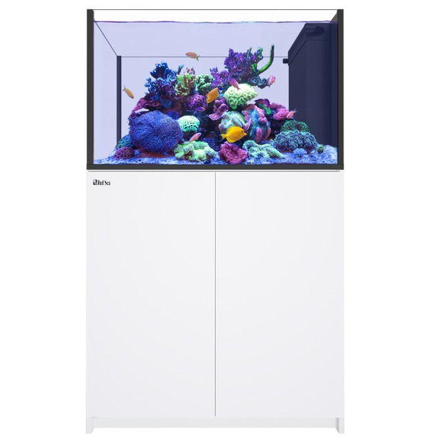 Red Sea REEFER Peninsula 350 G3