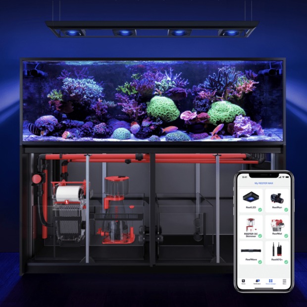 Red Sea REEFER MAX Peninsula 350 G3