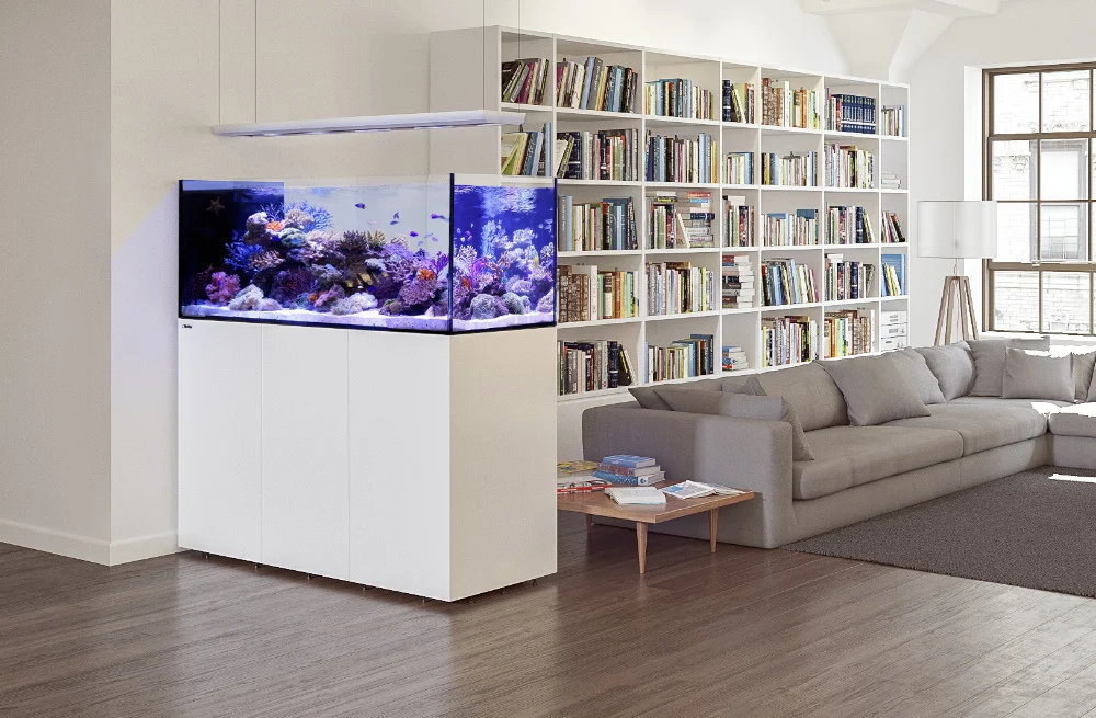 Le REEFER Peninsula G2+ comme bel &eacute;l&eacute;ment s&eacute;parateur d&rsquo;espace