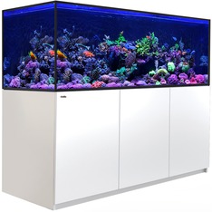 Red Sea Reefer-S 850 G3 blanc