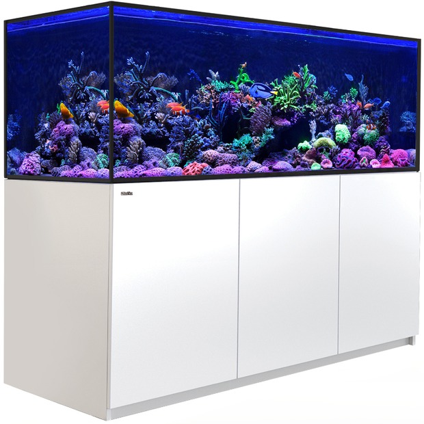 Red Sea Reefer-S 850 G3 blanc