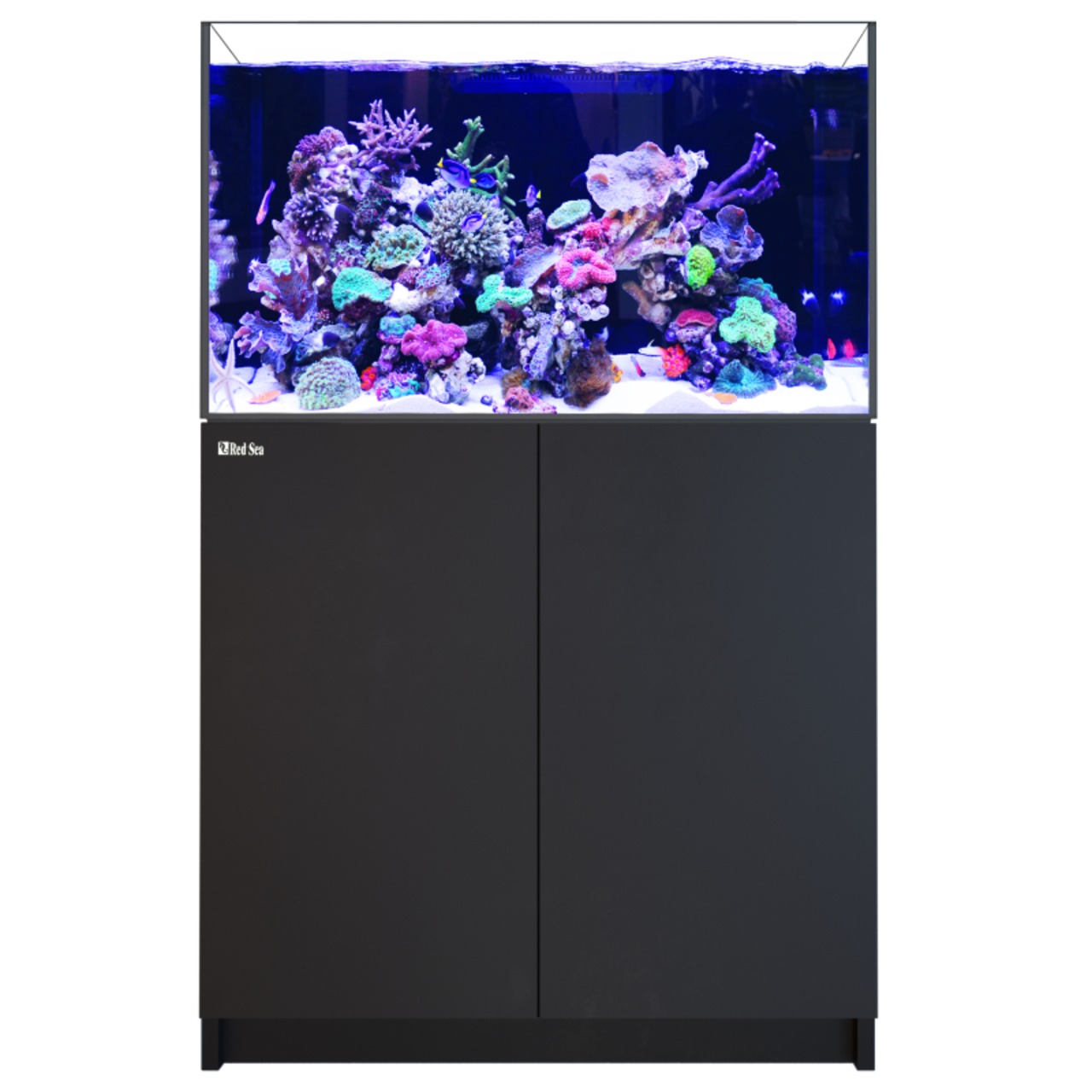 Red Sea Reefer 300 G3 noir