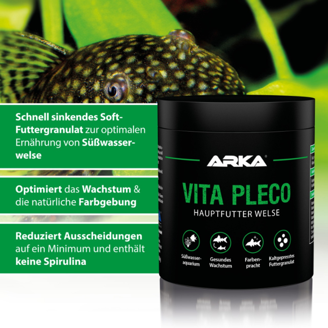 ARKA Vita Pleco nourriture poissons-chats 250 ml