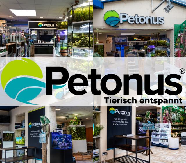 Image de À propos - Petonus.fr 🐟 Ton expert en aquariophili