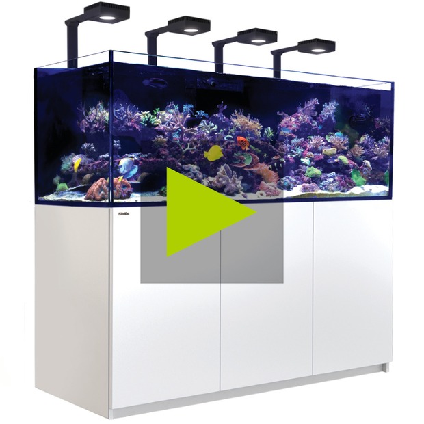 Red Sea Reefer 750 G3+ Deluxe blanc