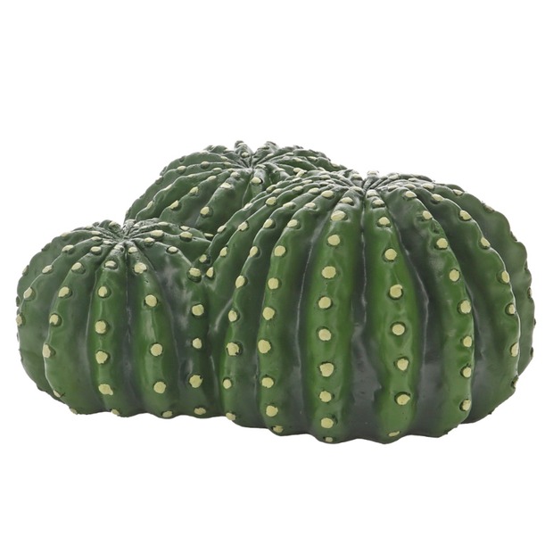 Hobby Cactus Home